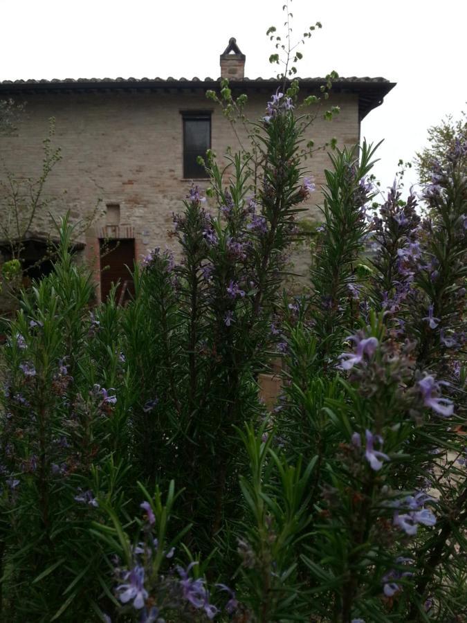 Agriturismo Il Poggio Degli Scoiattoli Perugia Luaran gambar