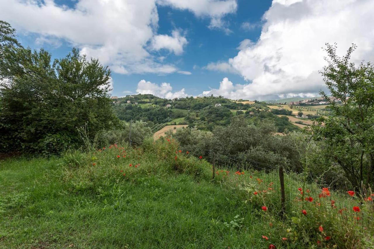 Agriturismo Il Poggio Degli Scoiattoli Bed & Breakfast Perugia Luaran gambar