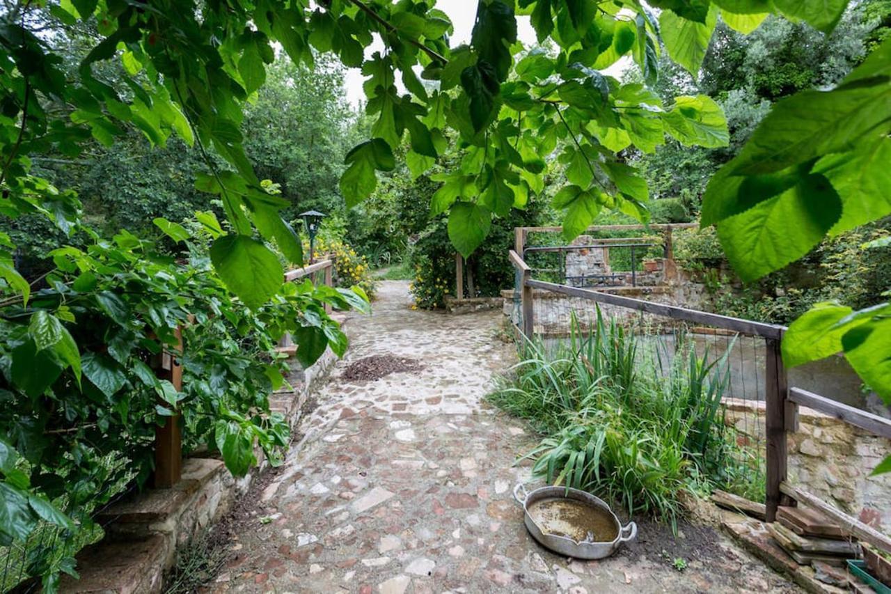 Agriturismo Il Poggio Degli Scoiattoli Perugia Luaran gambar