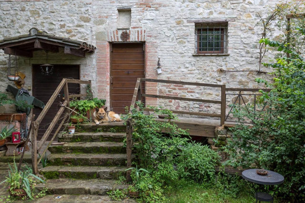 Agriturismo Il Poggio Degli Scoiattoli Perugia Luaran gambar